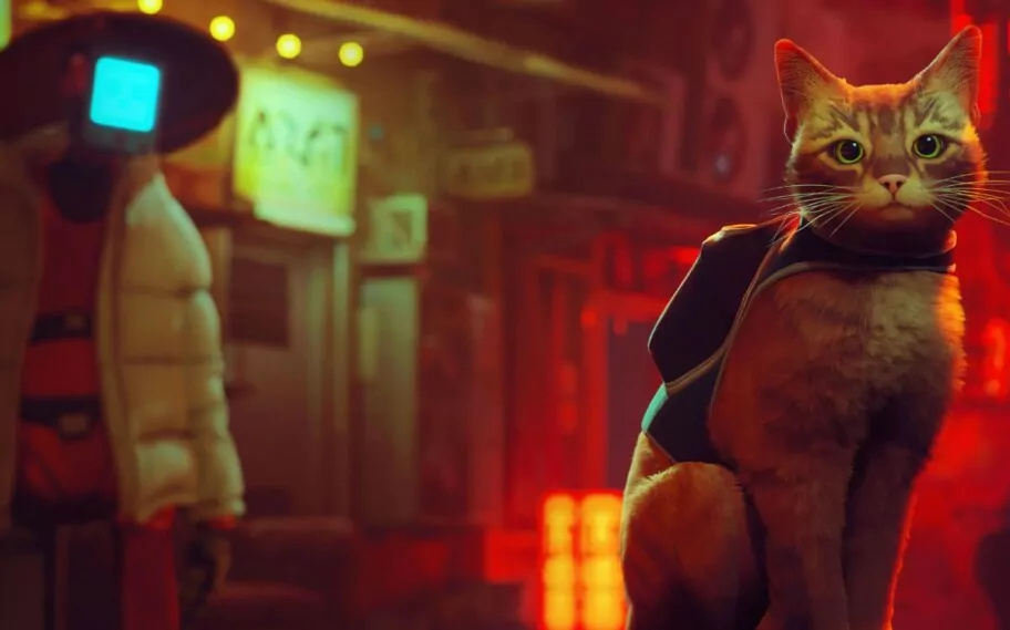 Stray Nintendo Switch