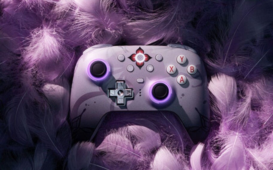 Controle especial da 8BitDo