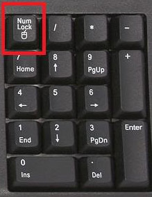 Indicador Num Lock no teclado