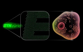 Nano-OLED: conheça a tecnologia que promete revolucionar as telas