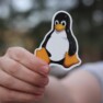 Linux supera 3% dos jogadores pela primeira vez no Steam