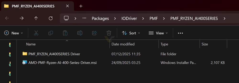 Captura do driver com novos Gorgon Point mencionados